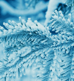 MAGIC SYSTEM Magic In The Air Feat Chawki Clip Officiel