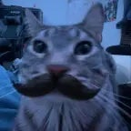 Sua mãe sabe que você gosta de rapazes?