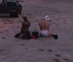 Bald Eagle Real Sound