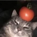 YNW Melly-murder on my mind (copy)