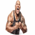 one day or day one - the rock