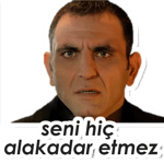 Seni Hiç Alakadar Etmez
