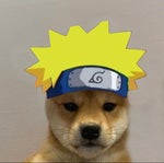 Naruto canino-Dog Naruto