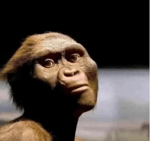 ENSFORD V3 and V5 - OWW!!