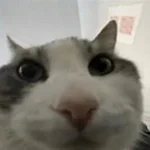 Recording 02/02/26 17:06:51