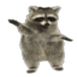 Raccoons favorite song