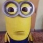 Monday left me broken cat