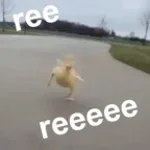 screaming-chicken-on-tree-memffe-made-with-Voicemod (copy)