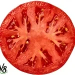 Nettspend - DrankDrankDrank [Dir. by Tycho] (1)