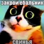 Dota 2 Rus song part 1