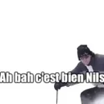 ah-bah-bravo-nils-super-pour-lappareil-photo-original