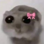 Knock Knock (Left side)