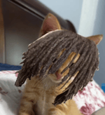 Ew look at this guy, he doesn't even have dreads!