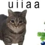 all i want for chrismas is you o ii a