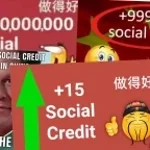 cn xue hua piao piao