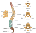 GET JIGGY! (Jersey Mix)