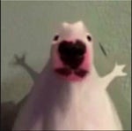 e nal di nho - Sound