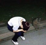 Shiloh Dynasty Hesitations