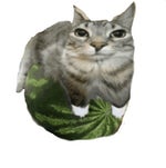 Rizz Whats it like to hold the gyat of someone you love