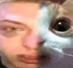 Meeting Verified Player