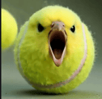 Pigeon ai scream meme