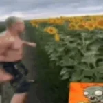 genesis-stutter-sol's-rng