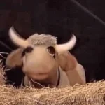 Cow Mooing