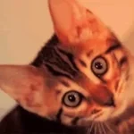 Une chenille !!! - Sound