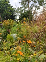 Kehlani, Summer Walker Girls Melt Love (Mashup) by popfantasy - Sound