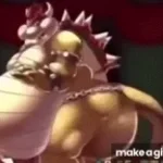 bowser fart