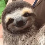 Ice Age 2- Fire King and Lil Sloths