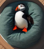 oh no he destroyed my bed