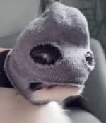 Im sorry we couldn't skype tonight