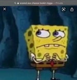 it come with eggroll