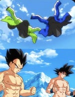 COME ON KAKAROT!!!