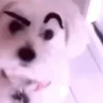 Smzinho - Oxi, oxi, oxi...