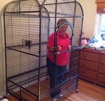 JHT Manicomio - Sound