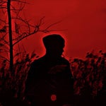 BLESSED MANE - FACEPUNCH