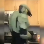 to the moon and back