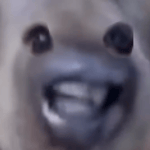 Blind the wind Lost Media