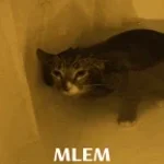 mlem cat
