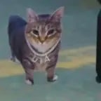 Oia Step Well Loose Phonk