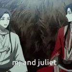 ZABUZA - VAILLANT s.30k