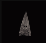 NIX VALLAH DU KANACKE