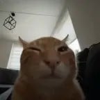 Puh Buh Buh Buaaaahhh