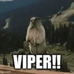 Viper