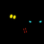 Mo: Ma cac pe mine - Mo si Foca Robotzi