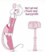 washer machine music