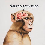 neuron activation