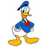 donald saying wassup